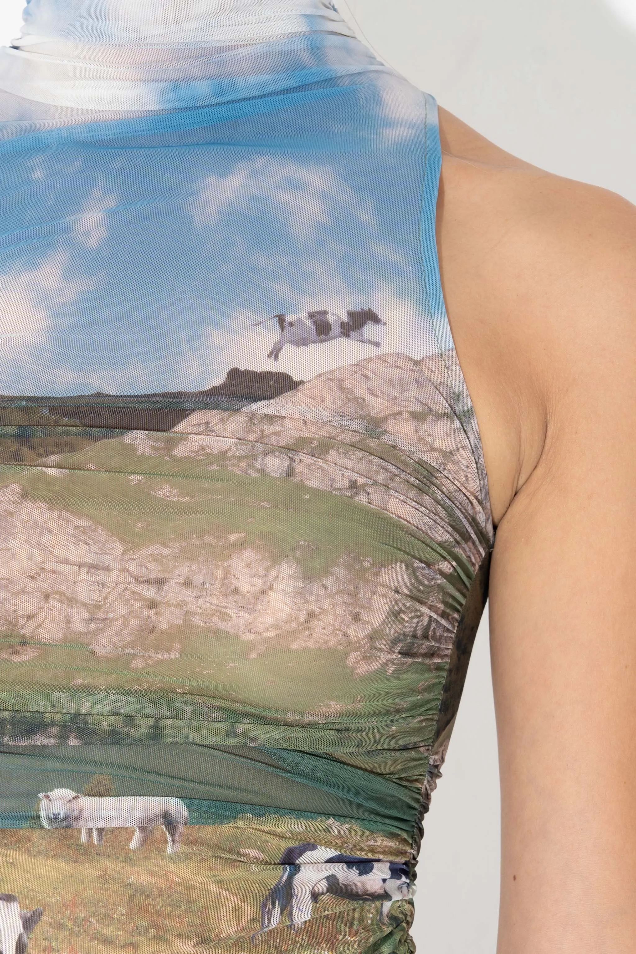 RUCHED TURTLE NECK TANK in Bucolic